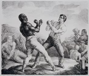 Boxeadores