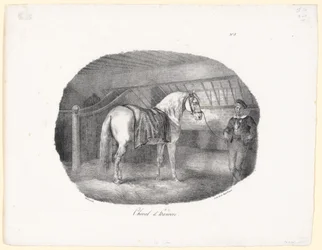 Caballo de Hannover (A Hanoverian Horse)
