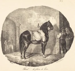 Caballo de la llanura de Caen