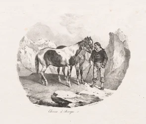 Caballos de Auvernia