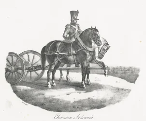 Caballos de las Ardenas (Horses from the Ardennes)