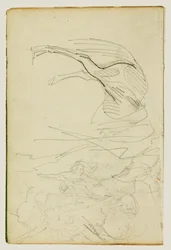 Estudio compositivo, estudios sobre caballos