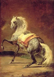 Caballo gris moteado