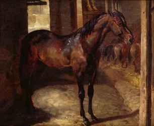 Caballo bayo oscuro en el establo