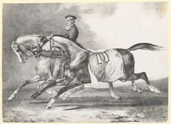 Dos caballos grises moteados a los que se saca a pasear (Two Dapple-Grays Being Exercised)