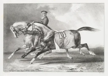 Dos caballos grises moteados a los que se saca a pasear (Two Dapple-Grays Being Exercised)