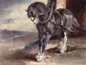 Caballo de tiro junto a una casa
