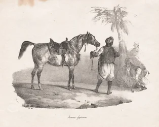 Yegua egipcia