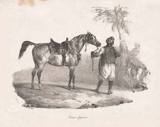 Yegua egipcia, 1822