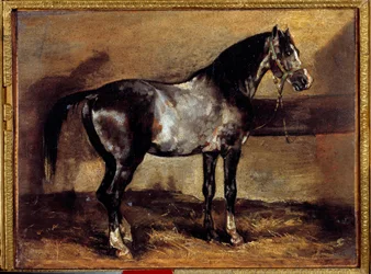 Caballo gris en el pesebre