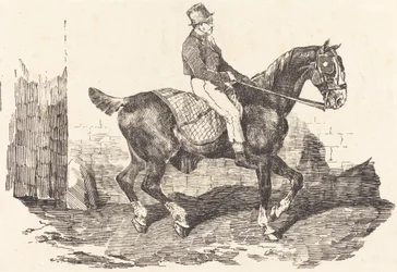 Mozo montado en un caballo de carruaje