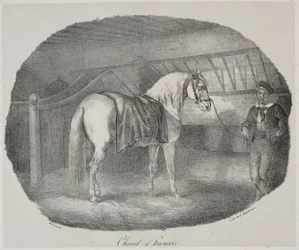 Caballo Hannoveriano