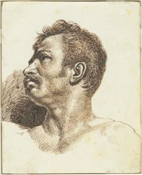 Cabeza de un hombre [recto]
