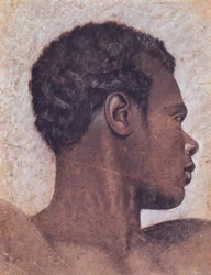 Cabeza de una persona negra