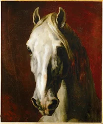 Cabeza de caballo blanco ...