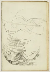 Estudios sobre caballos