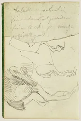 Estudios sobre caballos