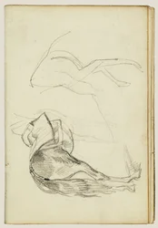 Estudios sobre caballos