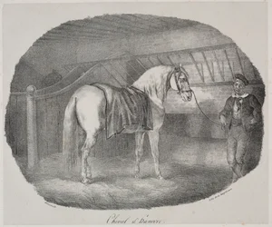 Caballo de Hannover