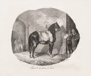 Caballo de la llanura de Caen