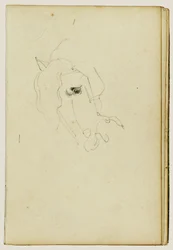 Cabeza de caballo