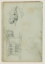 Cabeza de caballo, vista de un patio