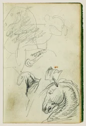 Estudios sobre caballos