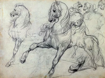 Caballos
