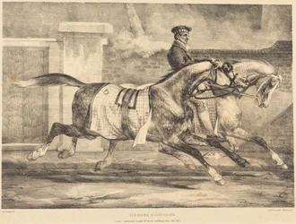 Caballos haciendo ejercicio