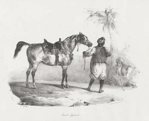 Yegua egipcia (An Egyptian Mare)