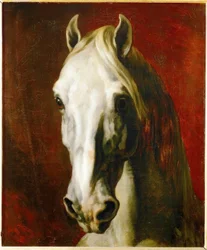 Cabeza de un caballo tordo