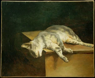 Le chat mort - El gato muerto ...