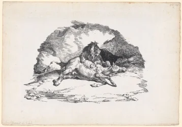 León devorando un caballo (A Lion Devouring a Horse)