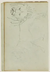León caminando, cara de león