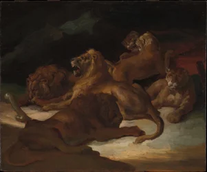 Leones en un paisaje montañoso