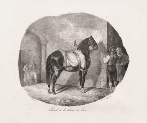 Estudios litografiados de caballos: Pl. 7, Caballo de la llanura de Caen
