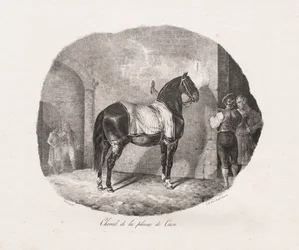 Estudios litografiados de caballos: Pl. 7, Caballo de la llanura de Caen, 1822
