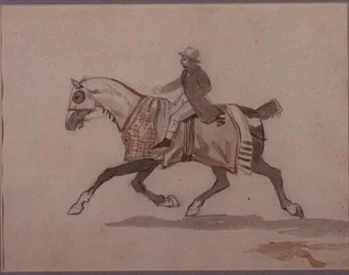 Pequeño mozo en un caballo al trote