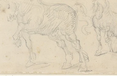 Estudios sobre caballos