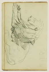 León sentado