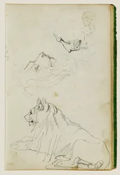 León sentado, dos bocetos de cabezas de león