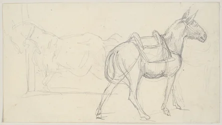 Boceto de un caballo