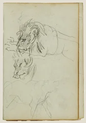 Tres estudios sobre leones