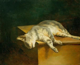 Gato muerto