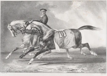 Dos caballos grises moteados durante el entrenamiento