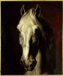 Cabeza de caballo blanco. Pintura de Théodore Géricault (1791-1824)