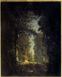 Una avenida, bosque de L
