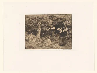 Roble en las rocas
Chênes de Roche (título original)