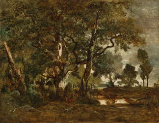 Bosque de Fontainebleau, grupo de árboles altos con vistas a la llanura de Clair-Bois en el límite de Bas-Bréau