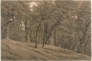 En el bosque de Fontainbleau